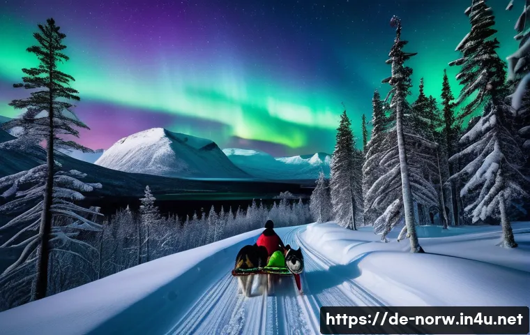 노르웨이 기후와 날씨 - A breathtaking winter landscape in northern Norway near Tromsø, featuring a vast snow-covered pine f...