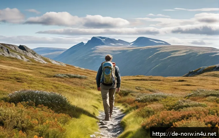 노르웨이에서 법적으로 금지된 것들 - A serene Norwegian wilderness scene featuring a respectful hiker wearing weather-appropriate clothin...